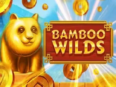 Wincraft Casino screenshot